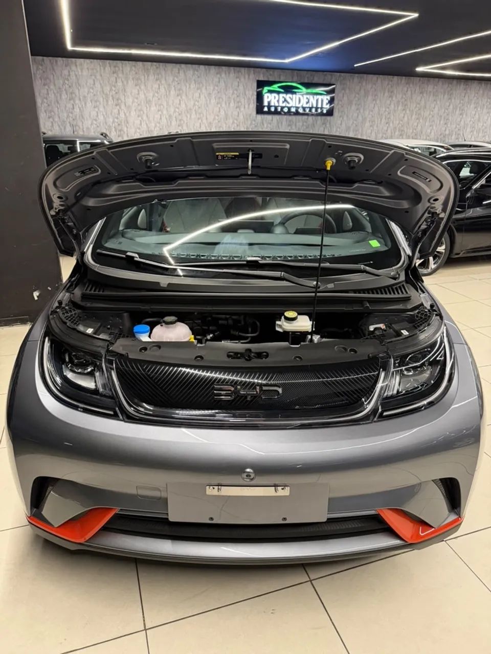 BYD Dolphin GS (Elétrico) 2027 - Foto 4