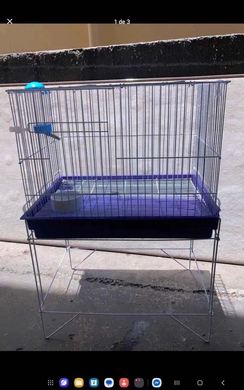 Gaiola para roedores, ração para roedores 