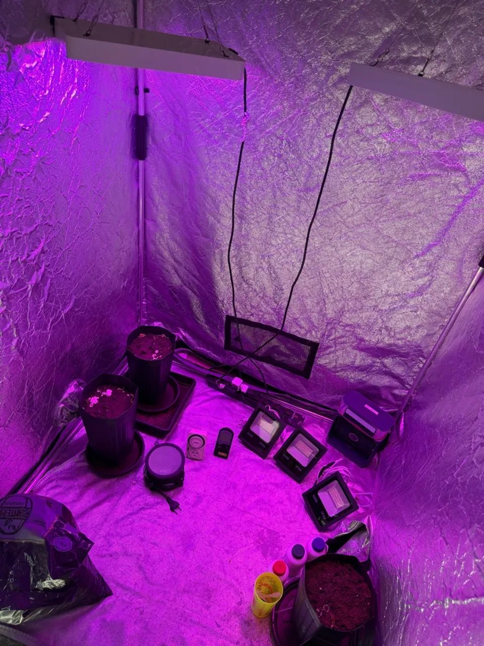 Grow Estufa  - Foto 4