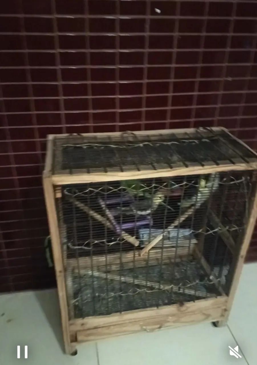 Gaiola para pássaros 
