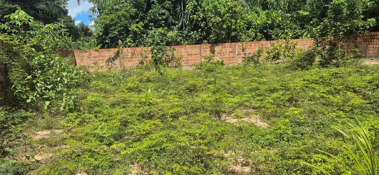 Terreno em Paricatuba  - Foto 5