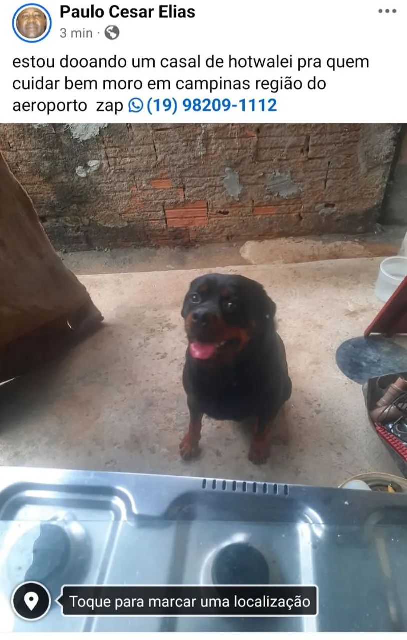 doação  de  hotwalei