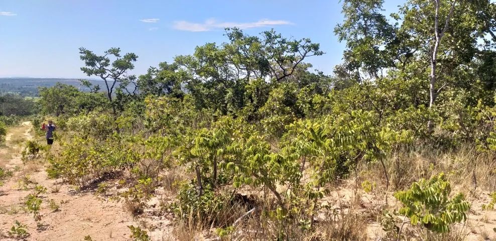 Chácara Financiada de 1.000 m2 em Curvelo e Cordisburgo - Foto 3
