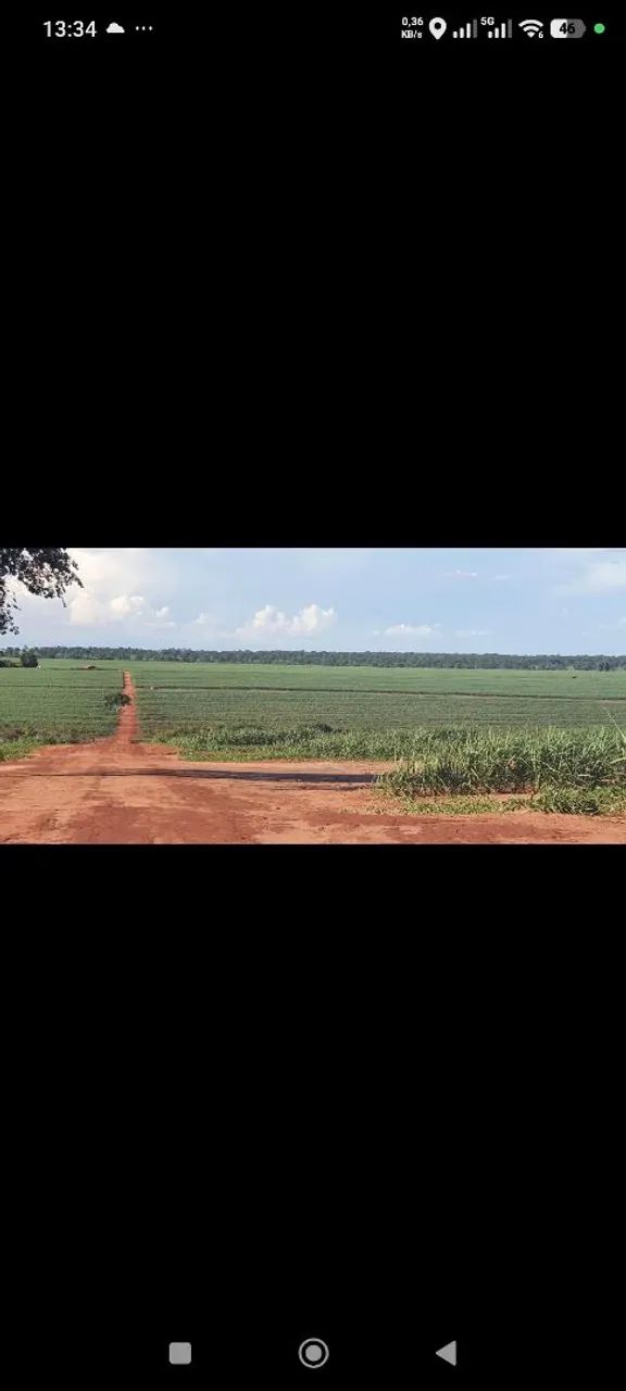 Fazenda de arrendamento 1.000 hec Nova Alvorada MS.  - Foto 2