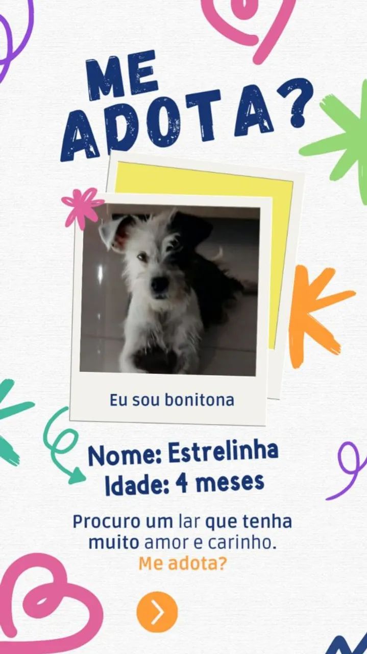 ADOÇÃO RESPONSÁVEL 
