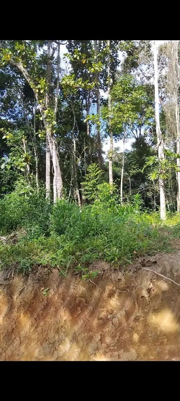 terreno com fácil acesso - Foto 5
