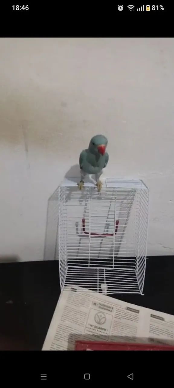 Gaiolas