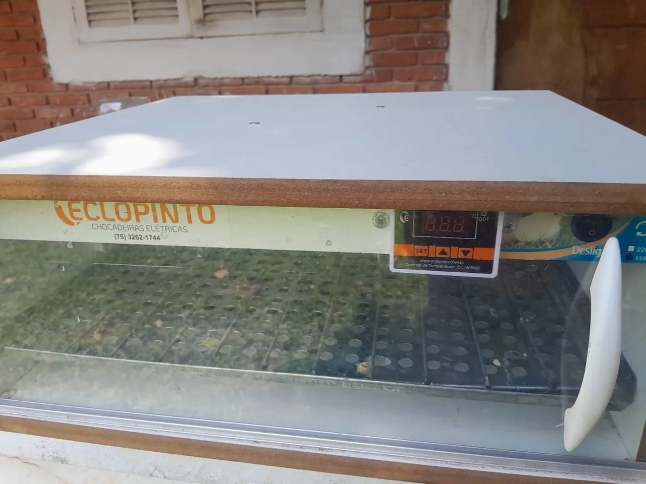 CHOCADEIRA ECLOPINTO AUTOMÁTICA ATÉ 80 OVOS - Nova - Foto 2