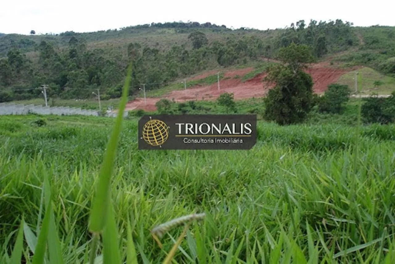 Terreno à venda, 17442 m² por R$ 1.350.000,00 - Tanque - Atibaia/SP - Foto 9