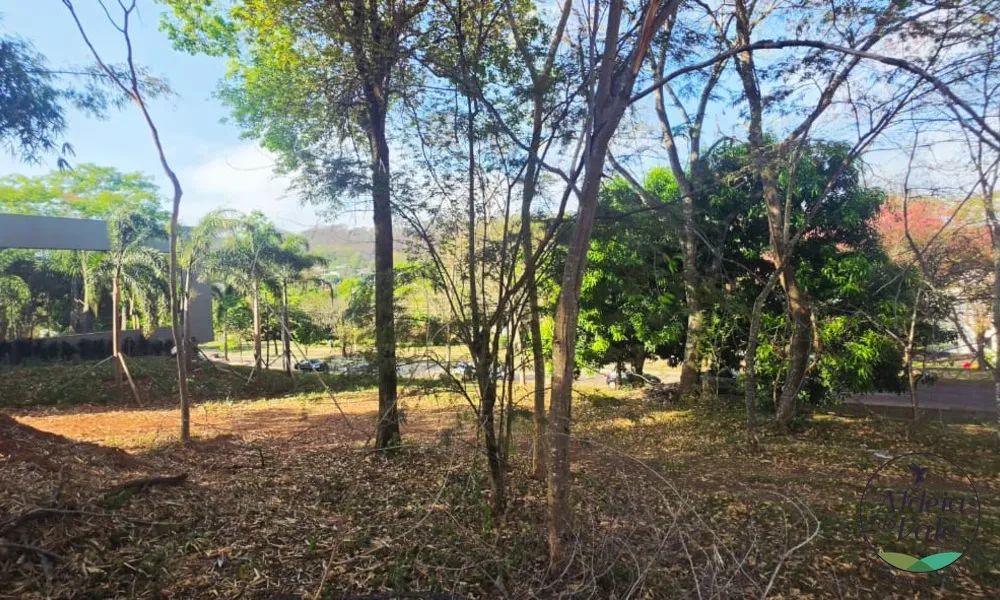 Terreno no Residencial Aldeia do Vale - Foto 3
