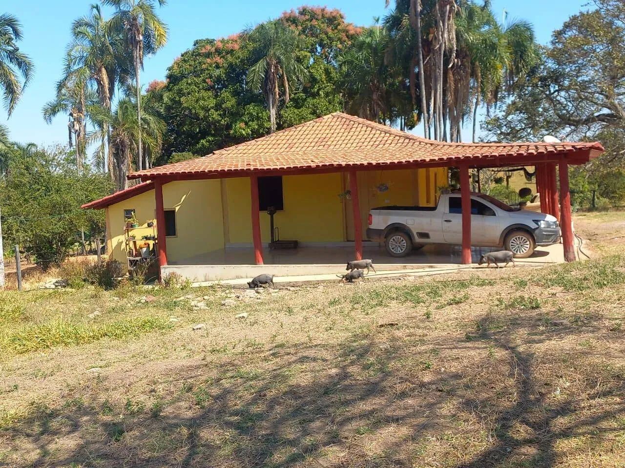 Fazedinha 23 Alqueires  Itaberaí-go