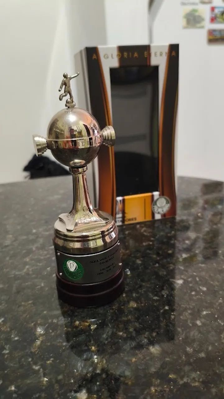 Taça Libertdores Palmeiras (miniatura)