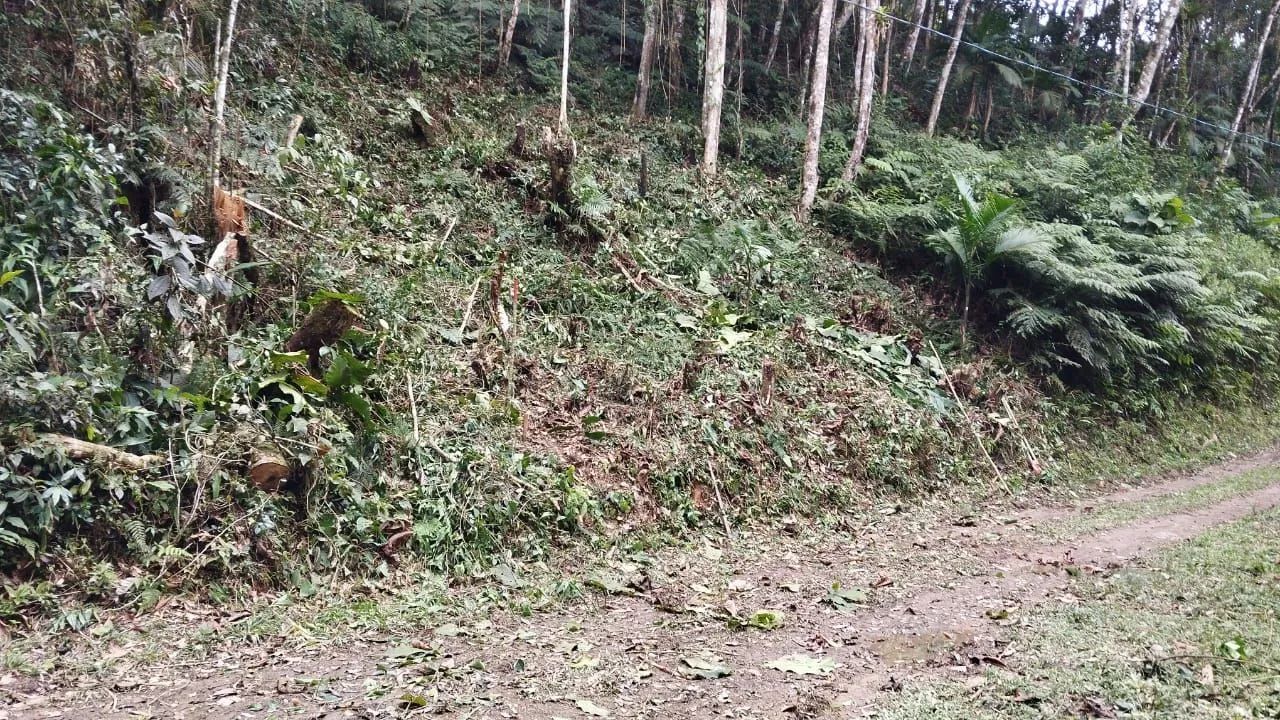 Vendo terreno ou troco - Foto 3