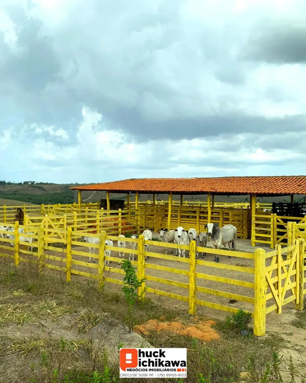 FAZENDA - 1000 TAREFAS Umbaúba - Indiaroba - Foto 3