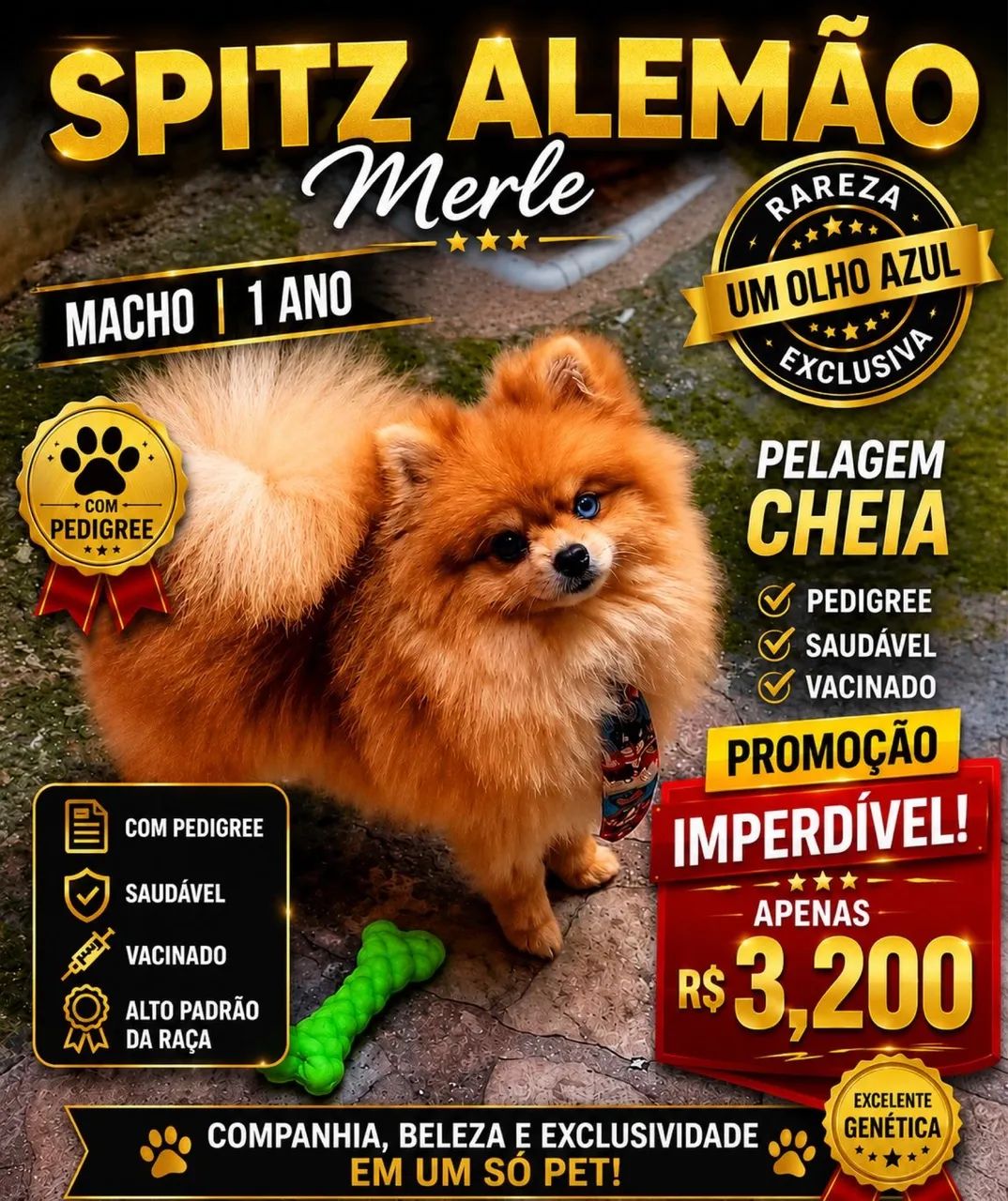 Vendo patriador