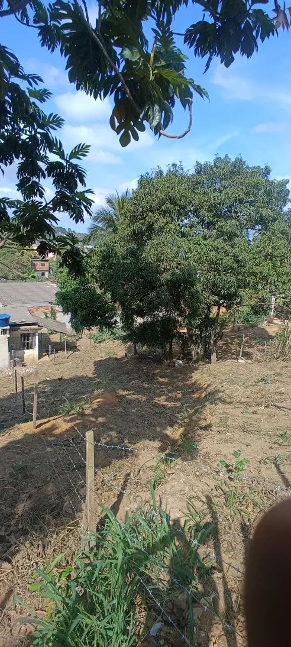 Lote 400m2 - Foto 5