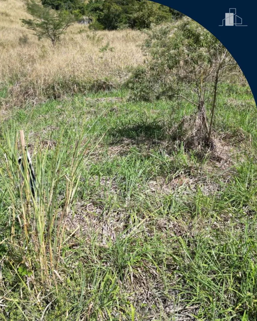 LOTES À VENDA - Foto 5