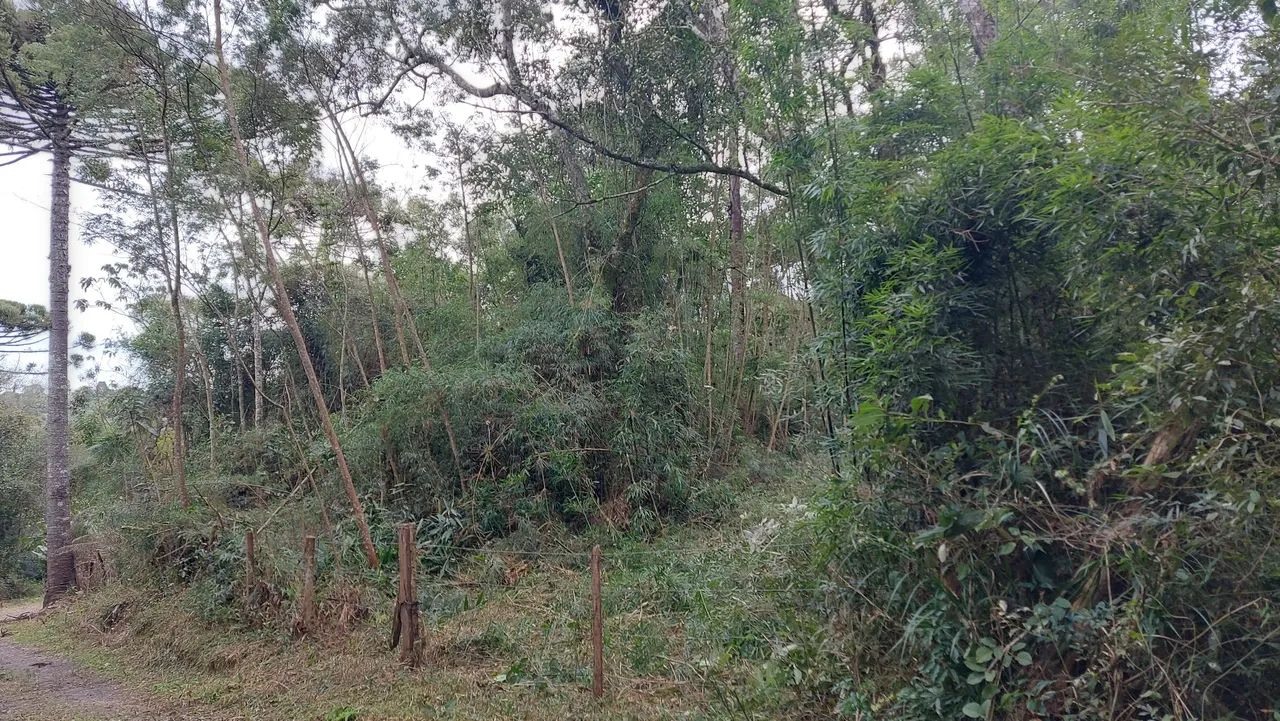 Venda - Foto 2