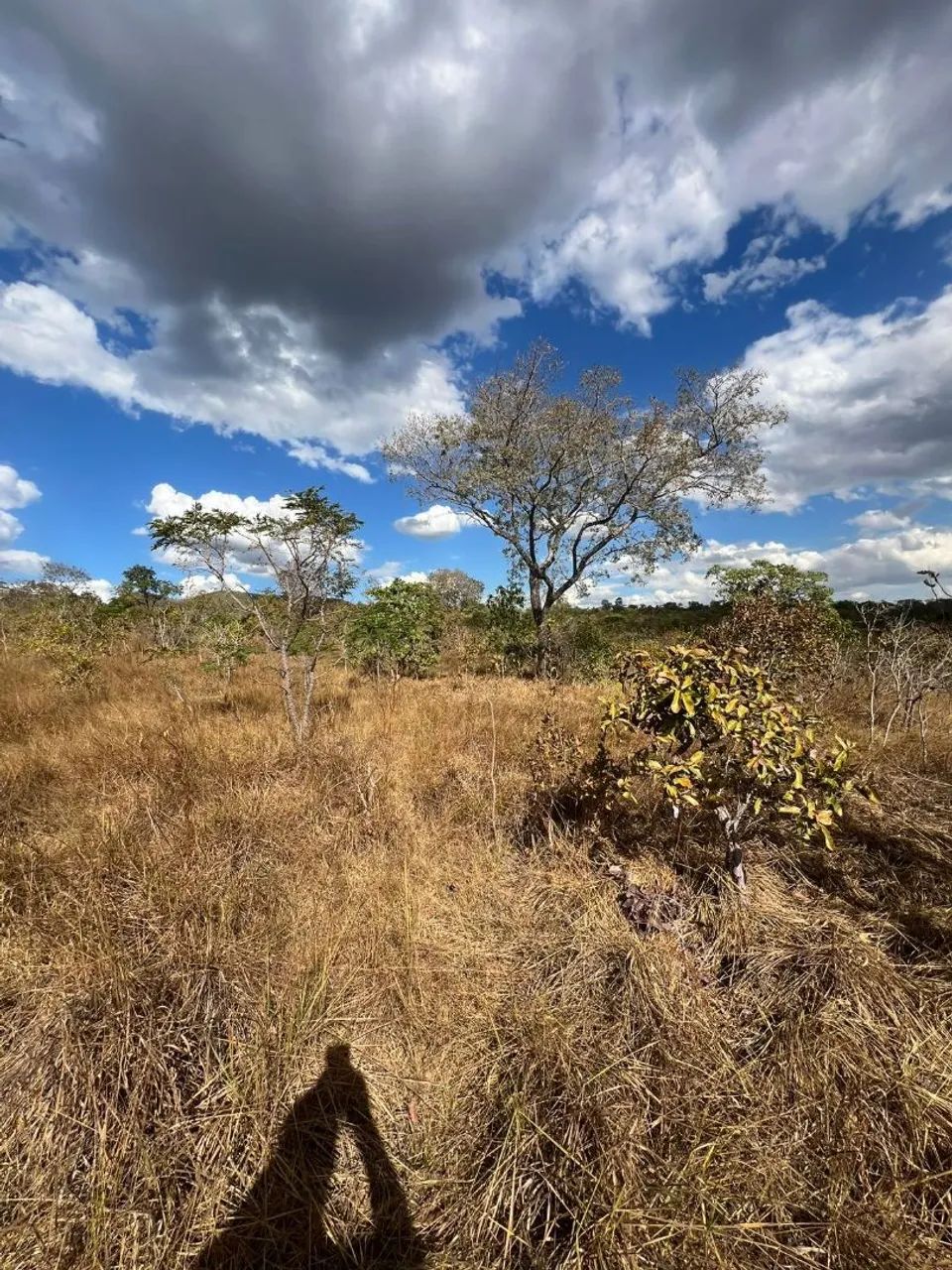 Mine Chácara próximo a JK - Foto 5