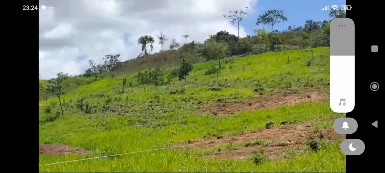 Chácara 20 hectares - com excelente logística - Foto 5