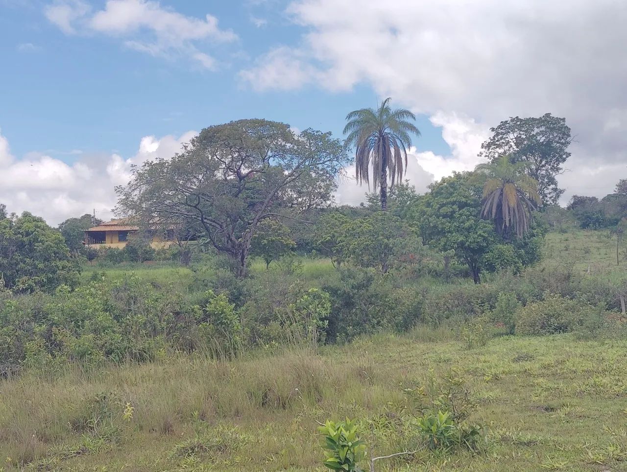 Lote 2000 MTS 5,000 São José de Almeida  - Foto 10