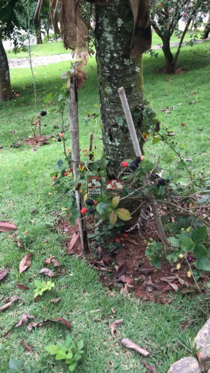 Casa Condomínio em Jambeiro - Foto 2