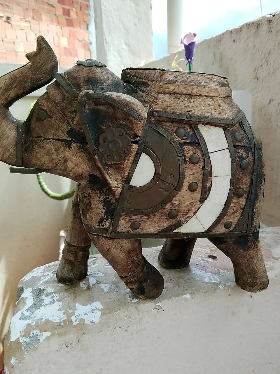 Elefante Indiano 