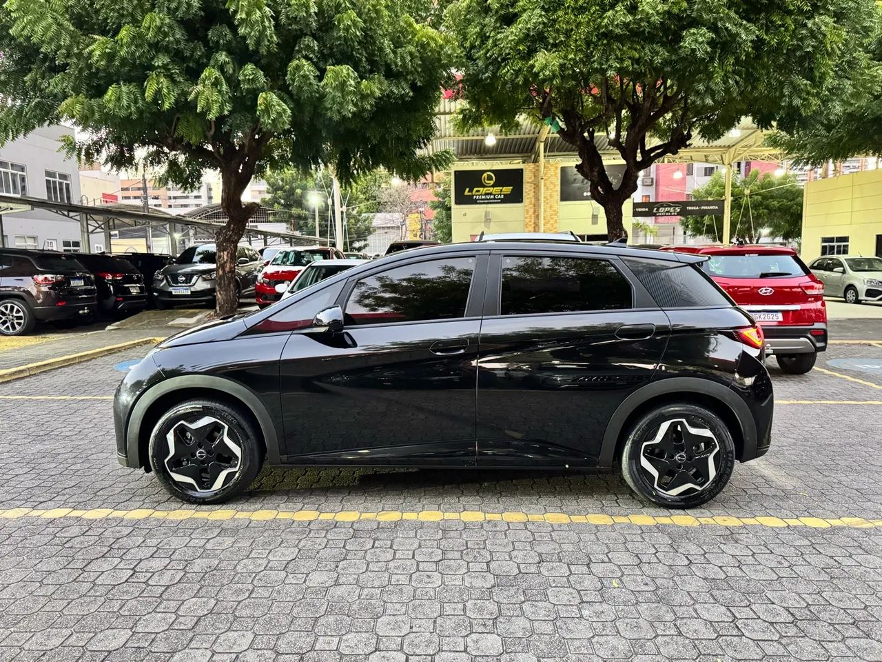 BYD Dolphin EV (Elétrico) 2024 - Foto 4
