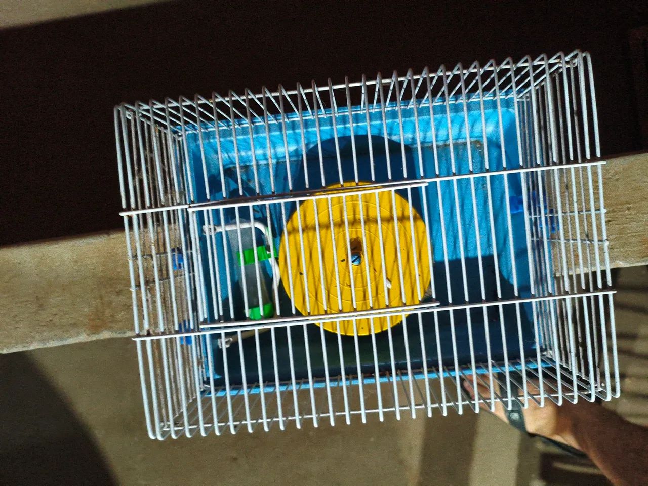Gaiola hamster