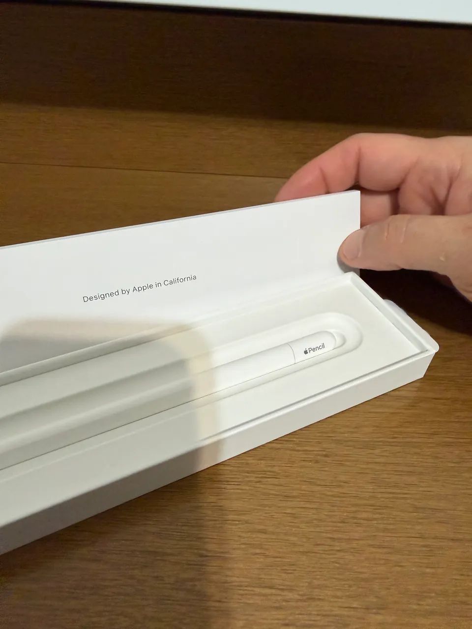 Apple Pencil USB-C Original Apple | Pouco Uso | Excelente Estado
