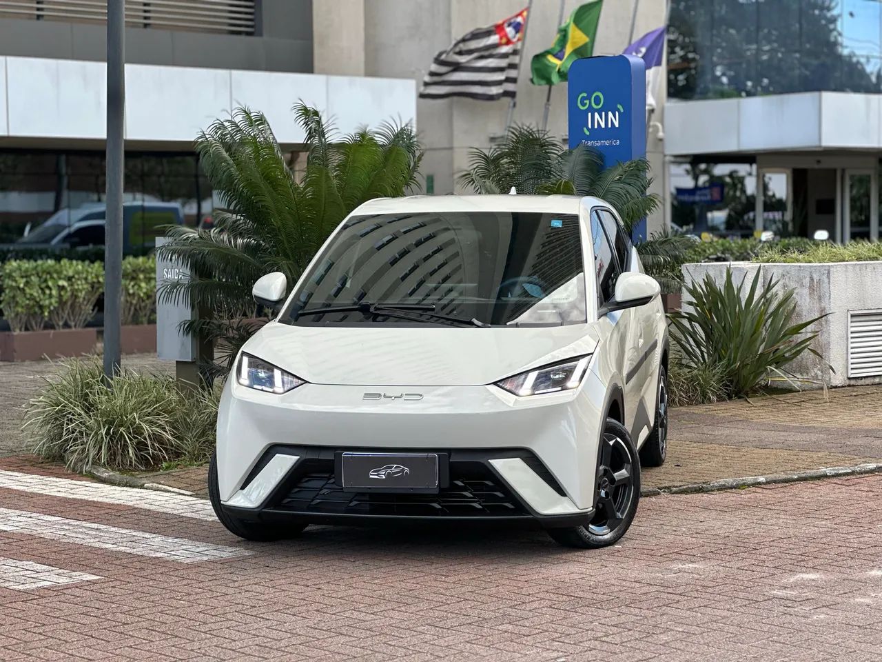 BYD Dolphin Mini (Elétrico) 2025