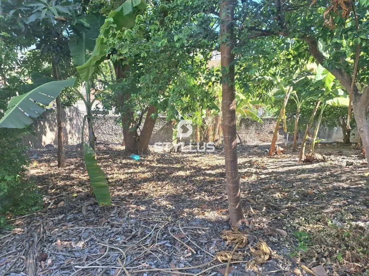 Maria da Graça | Terreno - Foto 6