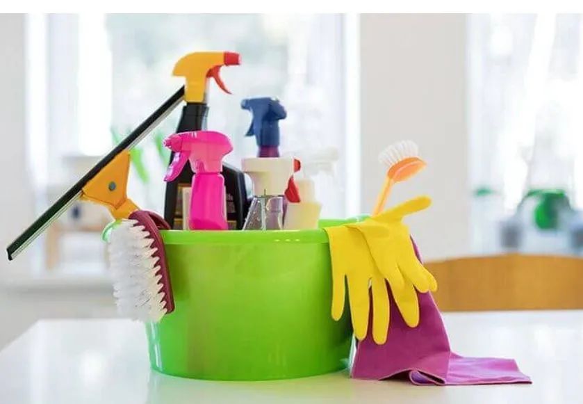 Organização do lar