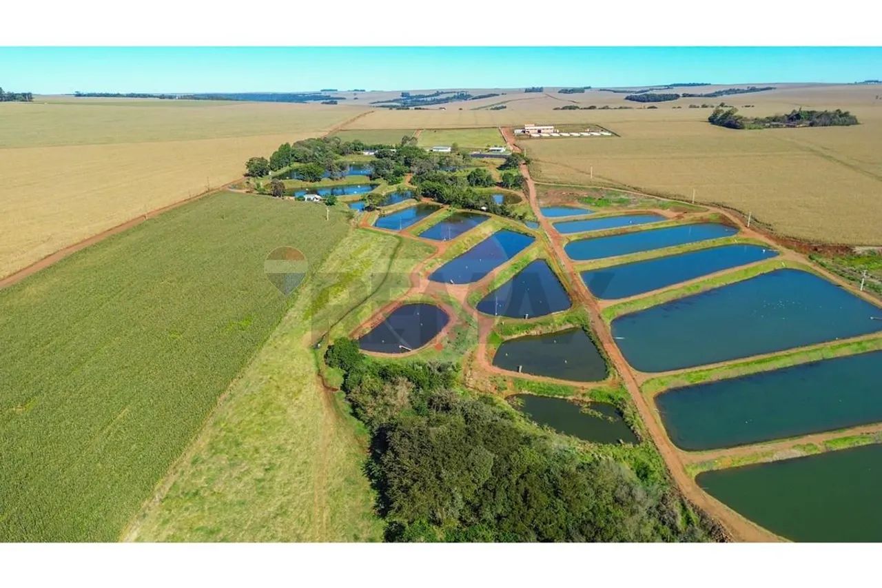 Fazenda Britania - Foto 4