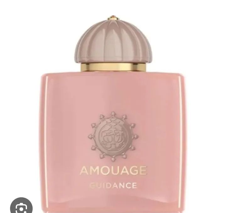 Guidance amouge