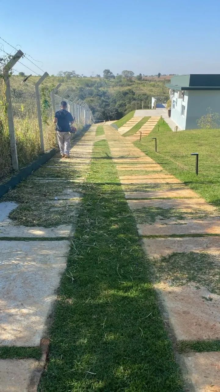 Jardinagem em geral  - Foto 5