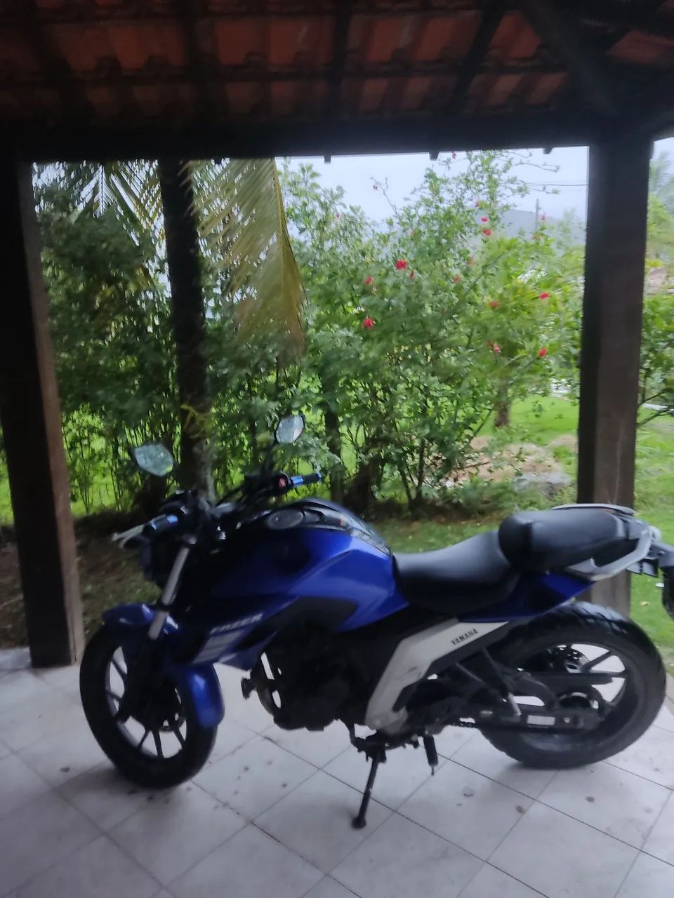 Fz25 2023