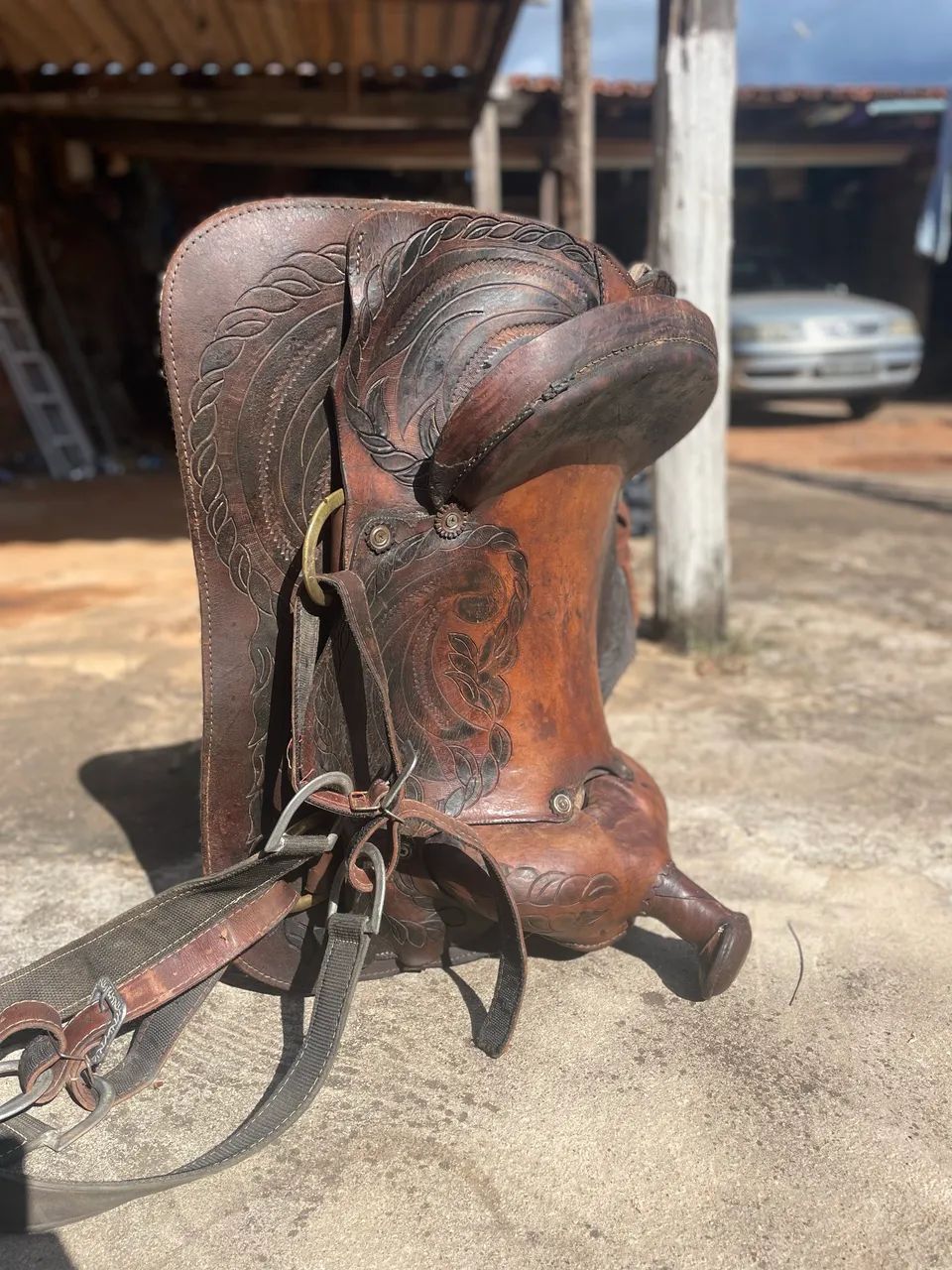 Sela de laço  - Foto 2
