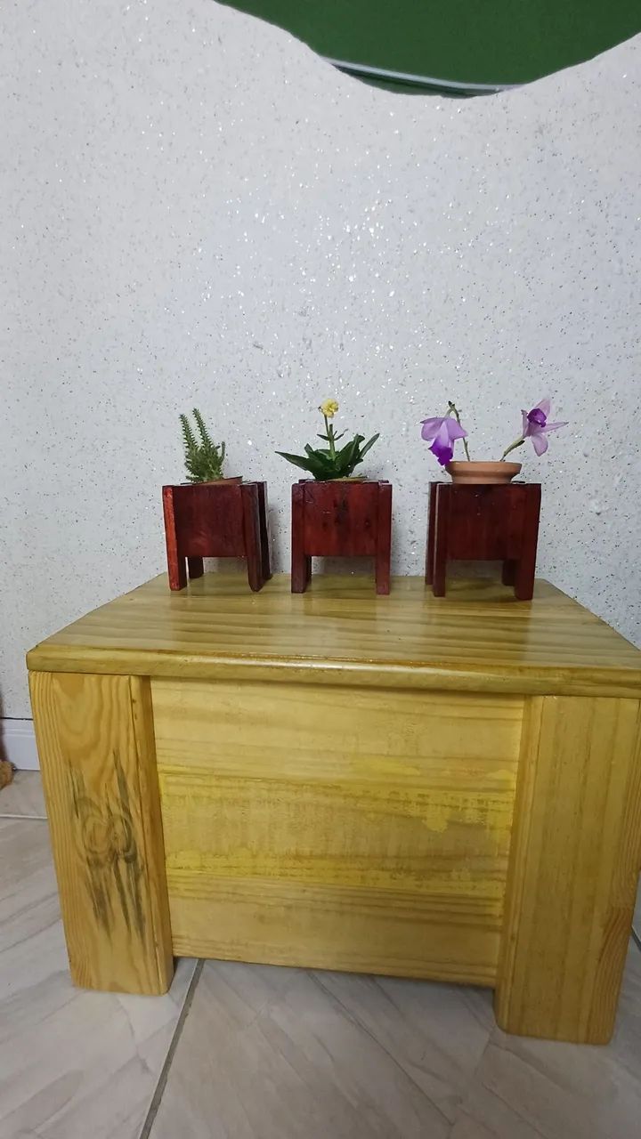 Vasinho de madeira para suculentas  - Foto 4