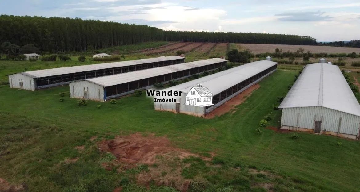 FAZENDA RURAL em SÃO GABRIEL DO OESTE - MS, centro - Foto 2