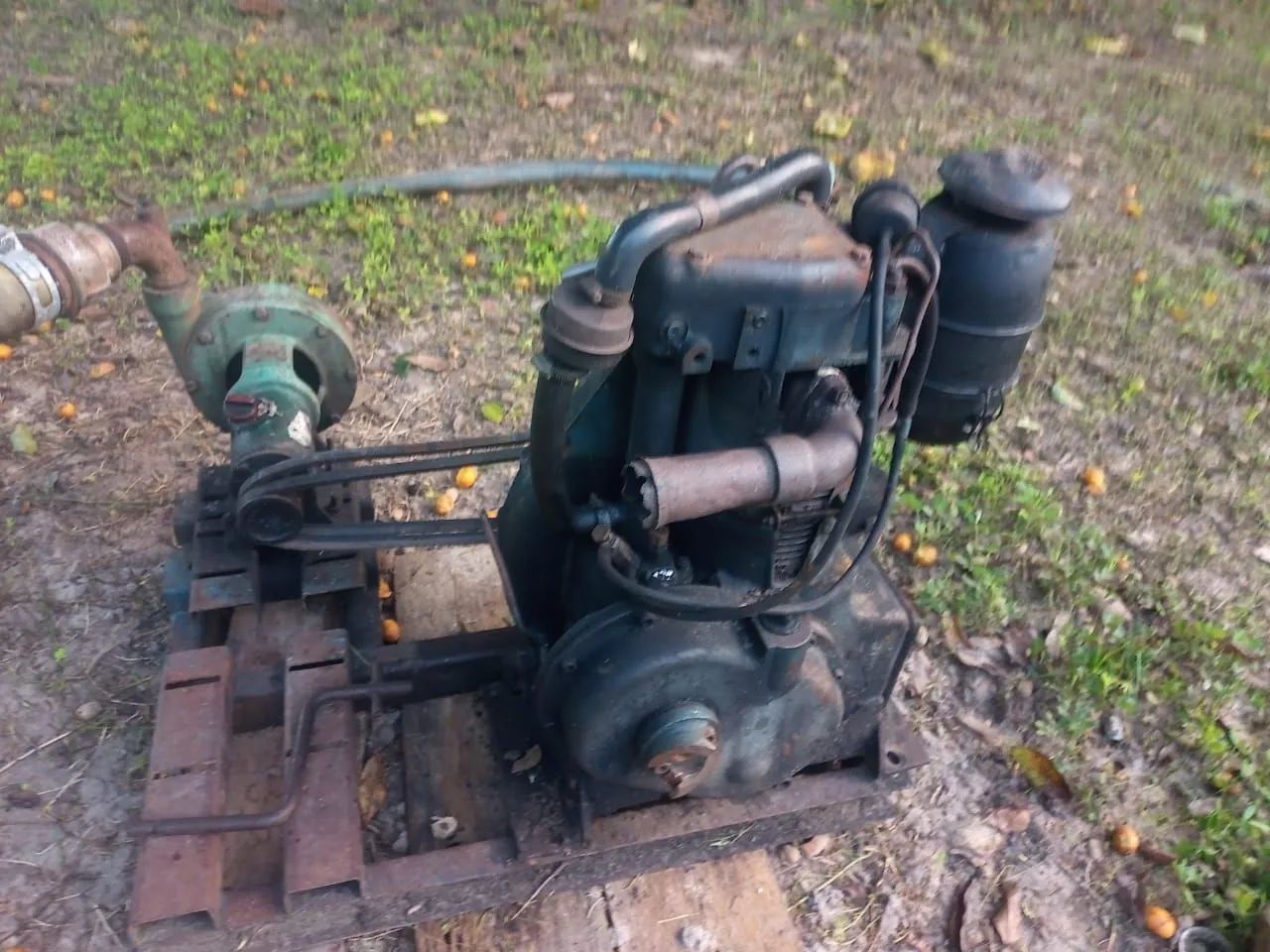 473574 - Foto 5