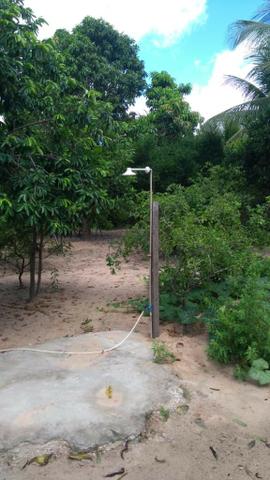 Vendo Granja em Monte Alegre- Casa sede com 3 quartos- Com dependência - Foto 3