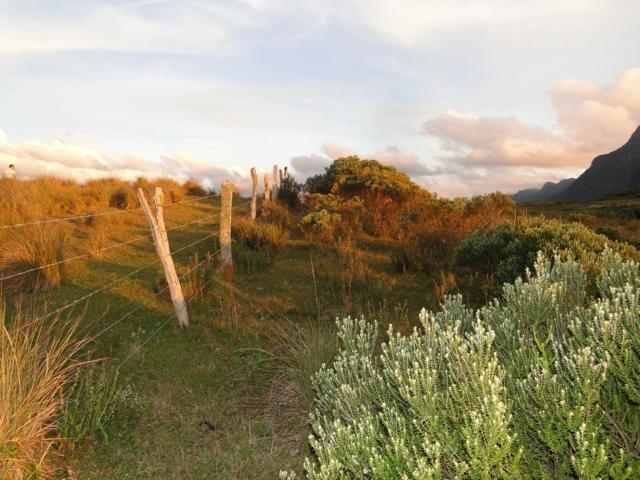 Pense num lugar bonito, sitio 5 hectares a 1000 m de altitude - Foto 9