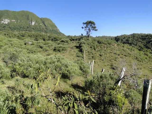 Pense num lugar bonito, sitio 5 hectares a 1000 m de altitude - Foto 12
