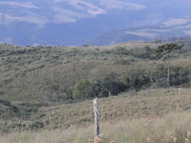 Pense num lugar bonito, sitio 5 hectares a 1000 m de altitude - Foto 10