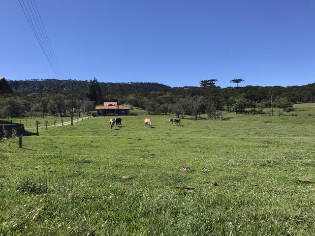 Casa em Urubici/Sítio Urubici - Foto 2