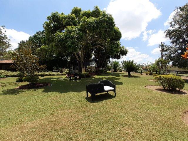 Propriedade com 14 hectares em Sairé (Cód.: fvv56) - Foto 18