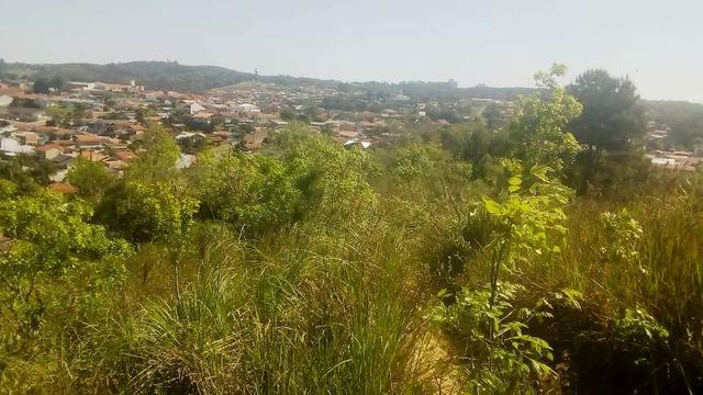 Terreno para Venda, 20.000,00 m² São Bento do Sul / SC, bairro Oxford - Foto 12
