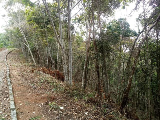 SG Arquitetura e Imóveis. Excelentes terrenos em condomínio no Golf - Foto 4