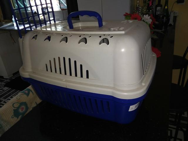 Casinha pra transportar cachorrinhos